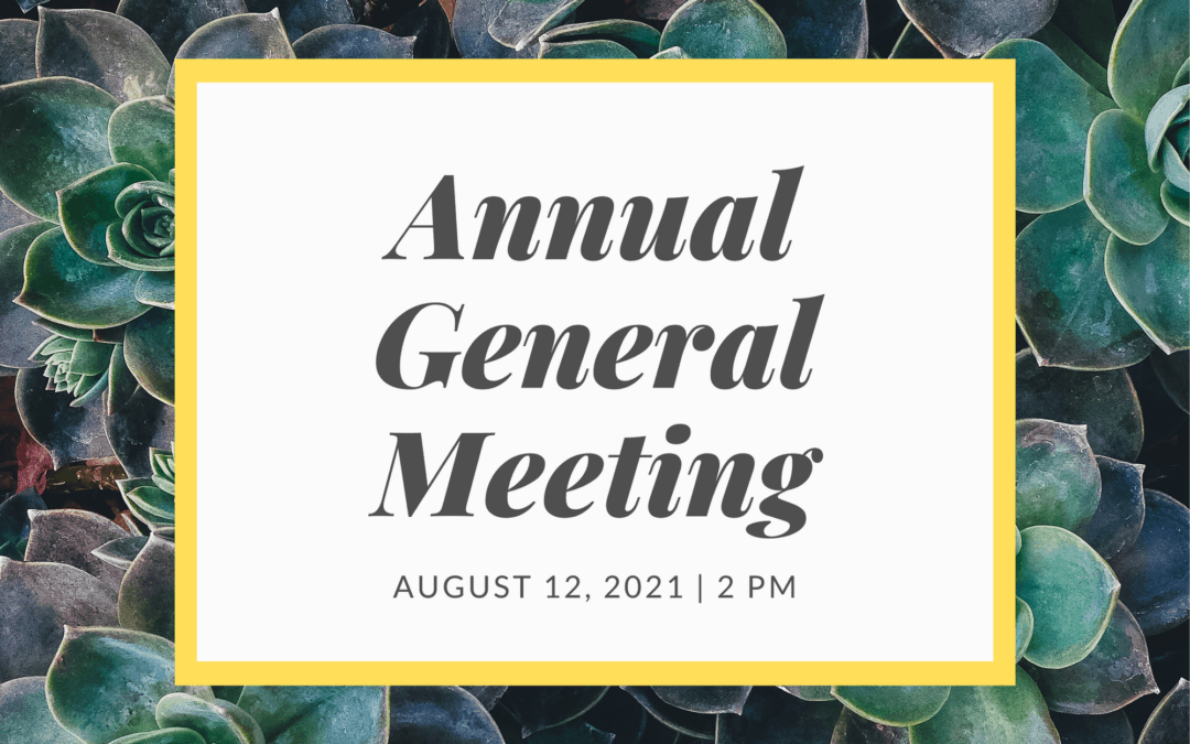 Annual General Meeting